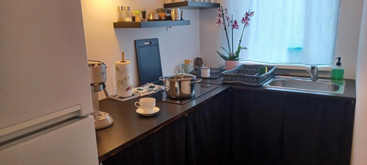 Studio Apartman Ada Samobor Exterior foto